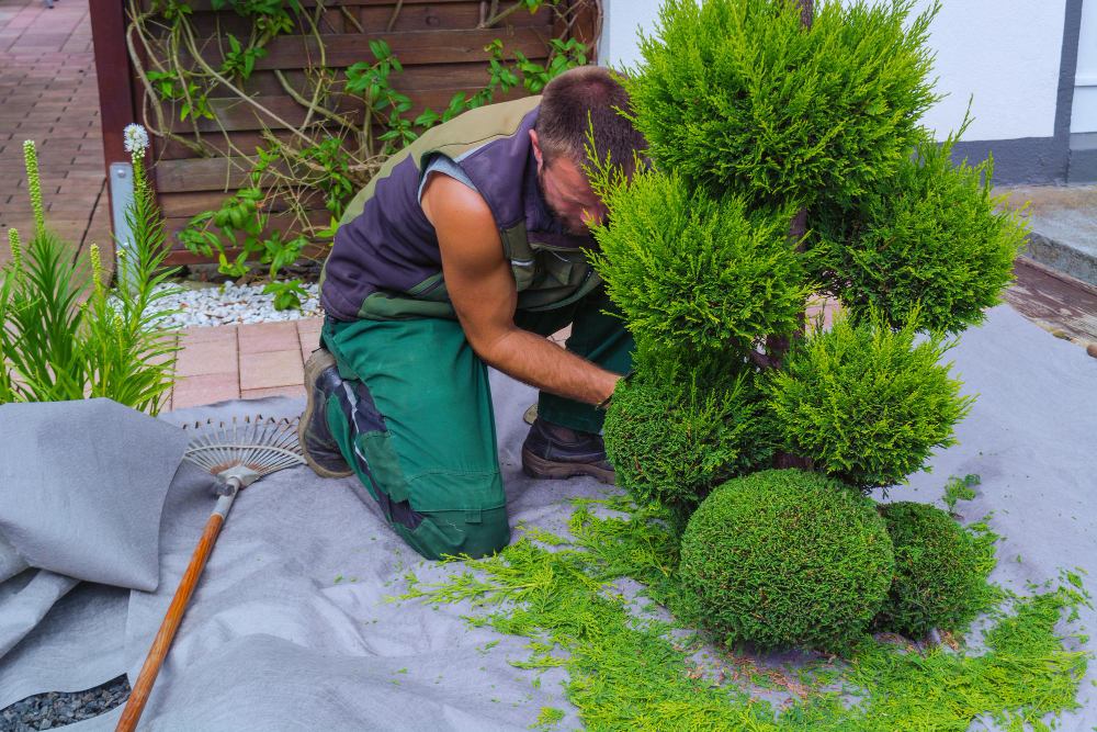 空間に活気を与えるランドスケープデザインとガーデニング